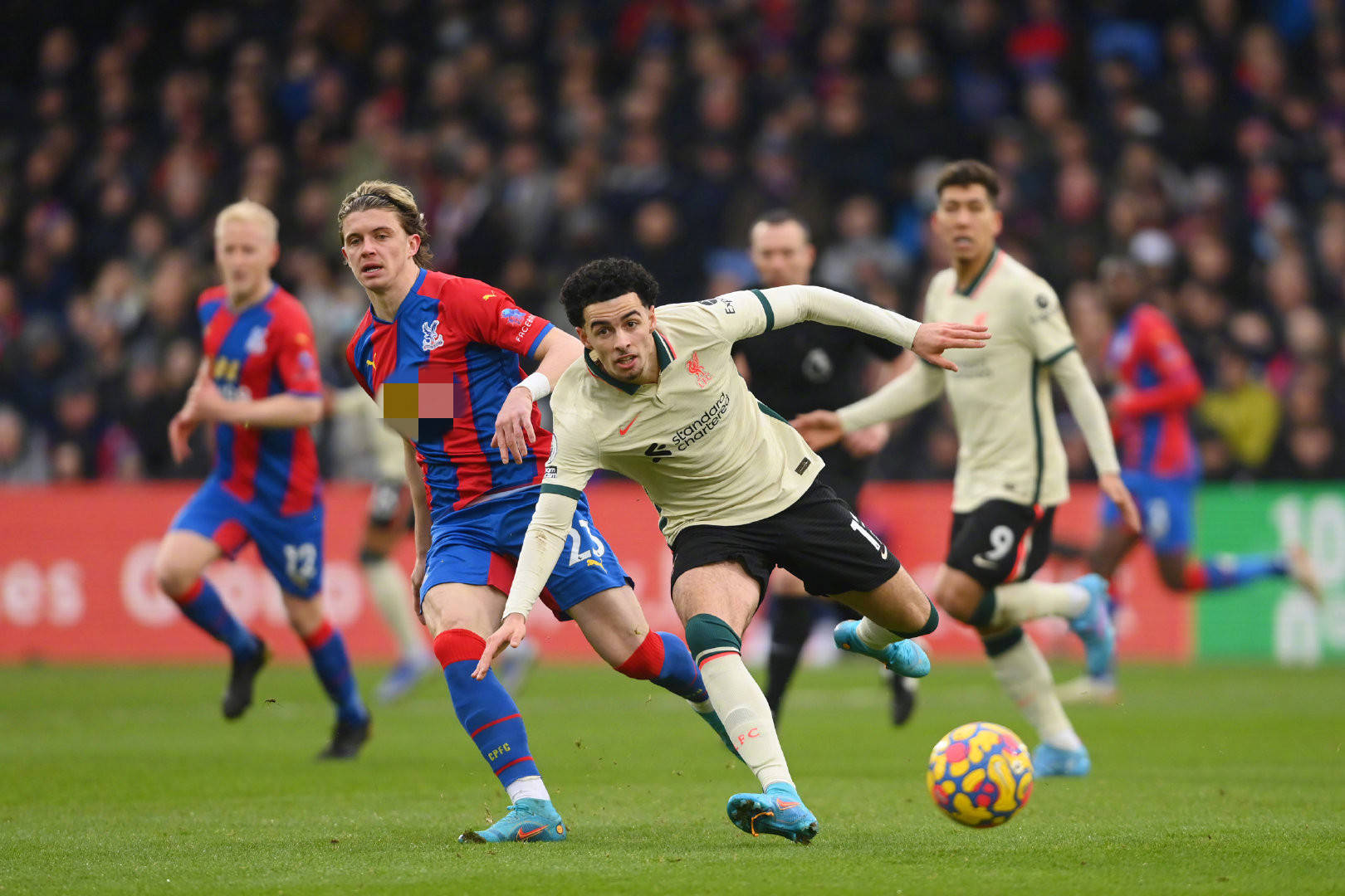 成为许多人 成为许多人