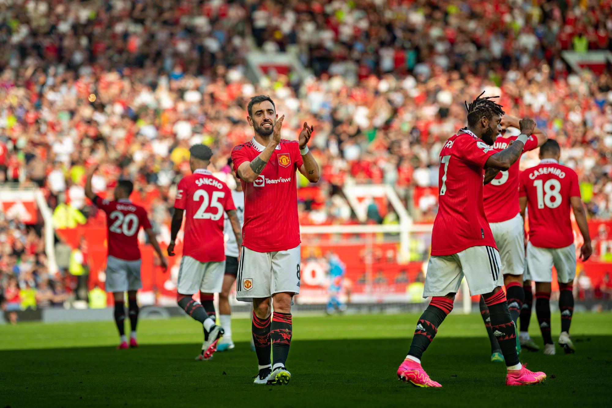 他健康恢复 他健康恢复